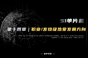51单片机开发丨14.2 职业 / 发烧级热爱发展方向