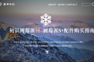 初识树莓派丨1.6 树莓派N+配件购买指南